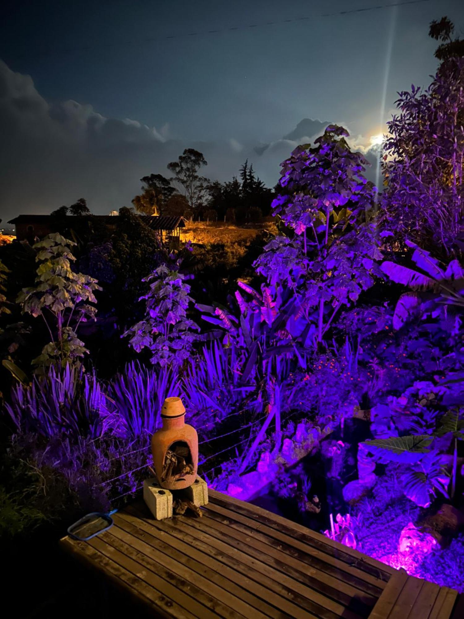 Cabanas Con Jacuzzi Y Chimenea - Casa Floral, Marinilla Exterior photo